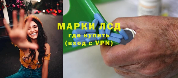 индика Щучье